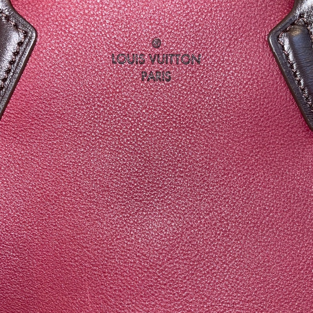 Louis Vuitton Burgundy and Brown Tote with Black-and-White Patterned Sides - Picture 6 of 15